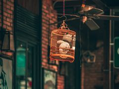 -德福楼咖啡吧(德福巷店)