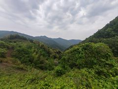 -大围山国家森林公园