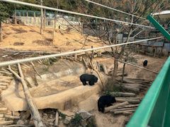-泉州海丝野生动物世界