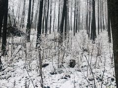 -丹东天桥沟景区