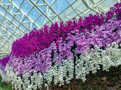 -石家庄市植物园