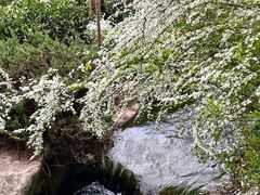 -中国茶叶博物馆(双峰馆区)
