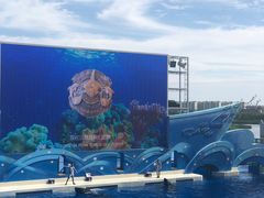 -上海海昌海洋公园