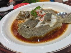 -鲁宴·鲁煨黄河生态大鲤鱼(月坛店)