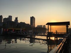 -光明港公园