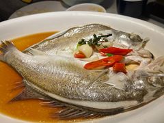 -绿茶餐厅(青岛城阳万象汇店)