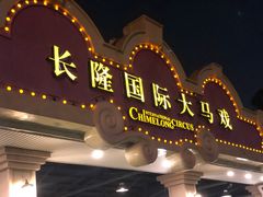 -广州长隆国际大马戏