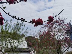 -乌山风景区