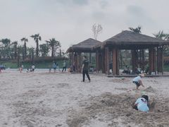 -九龙湖公园