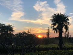 -滨海高尔夫俱乐部