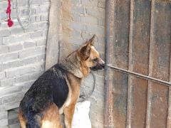 -京朋串屋·烧烤(望京西路总店)