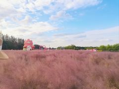 -嘉北郊野公园