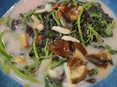 上汤苋菜-悦雅居·老广州老味道(长湖店)