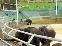 -大连森林动物园