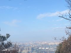 -惠山国家森林公园