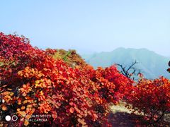 -周口店坡峰岭风景区