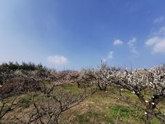 -南京市无想山景区