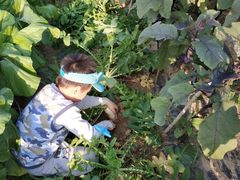 -武汉世外桃源农庄