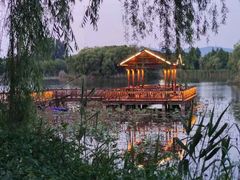 -上海市保健医疗中心