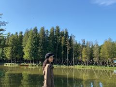 -森波拉火山温泉