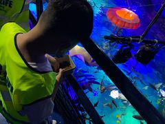 -沈阳海洋探索中心