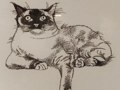 -【朵云轩艺术中心】博洛尼亚插画展·中国巡展·上海站