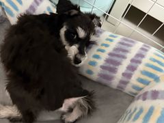 -炎黄艺术馆