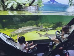 -江和美海洋公园