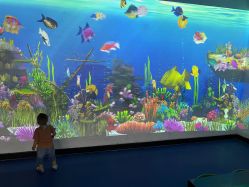 -酷嗒动物文化乐园(cutezoo西溪乐天城店)