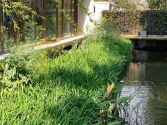 -前小桔亲子创意农场·草莓采摘·露营烧烤