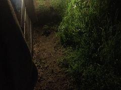 -企鹅岛