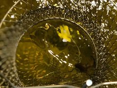 -光头佬钓虾场·烧烤·聚餐·亲子(金沙洲店)