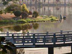 -东莞植物园
