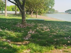 -贡湖湾湿地公园