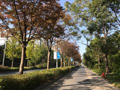 -新江湾城公园