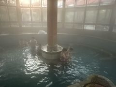 -金孔雀温泉旅游度假村