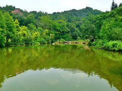 -云溪植物园