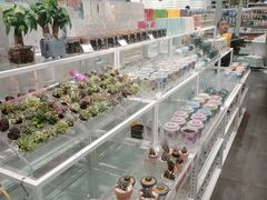 -KKV(深圳宏发大仟里店)