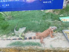-灵玲国际马戏城