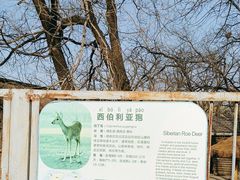 -北京动物园