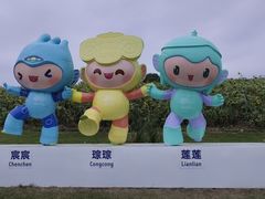 -龙坞茶村