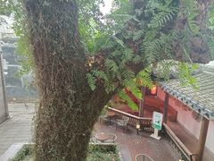 -星巴克(福州三坊七巷店)