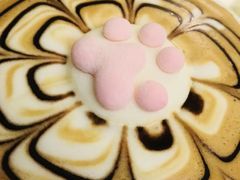 -猫色咖啡·猫咖