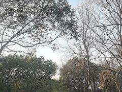 -上海海湾国家森林公园