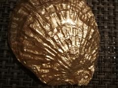 -斯普汇生蚝牛排馆(中骏世界城店)