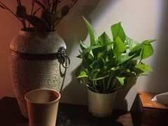 -域SPA·足疗·按摩·养生(静安寺店)