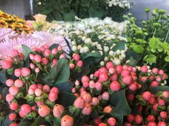 -杭州街角花屋花店(闻堰店)