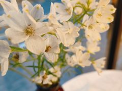 -Dal Cuore 达可芮冰淇淋(陕西北路店)