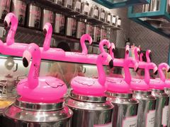 -Flamingo Bloom(TST /尖沙咀店)