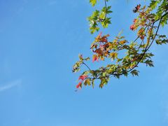 -朱砂古镇